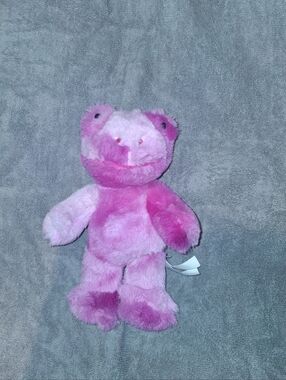 Build A Bear Buddies Tie Dye Frogs